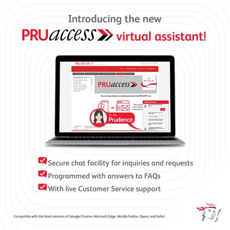 PRUaccess .
